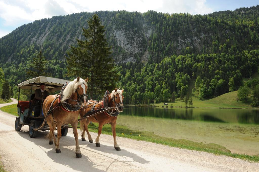 Ferienhaus Am Roemerweg クレー エクステリア 写真